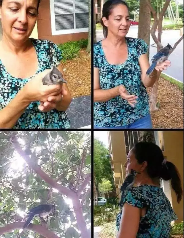 行善必獲祝福!女子3年前動善心救下小鳥 現在換鳥「救活她」