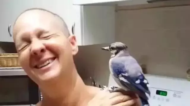 行善必獲祝福!女子3年前動善心救下小鳥 現在換鳥「救活她」