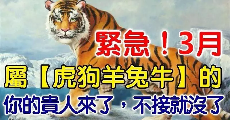 緊急!3月,屬【虎狗羊兔牛】的人,你的貴人來了,在不接就沒了!