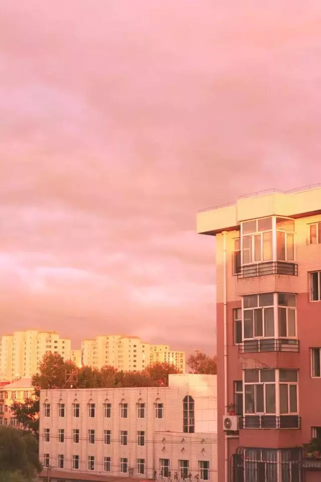 這個星座嘴上戀家其實心裡住著大海