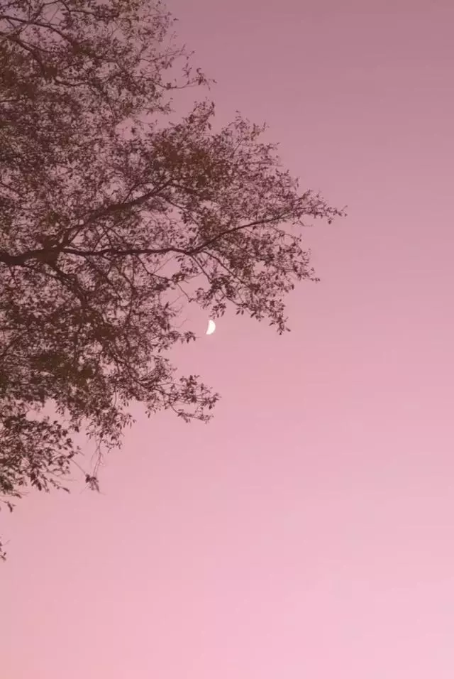 這個星座嘴上戀家其實心裡住著大海