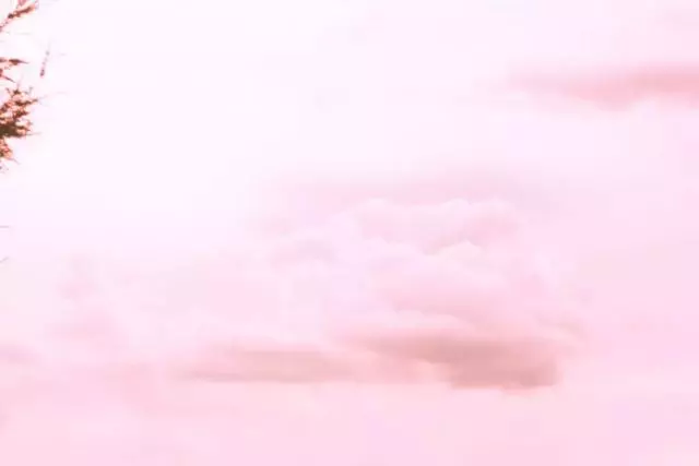 這個星座嘴上戀家其實心裡住著大海
