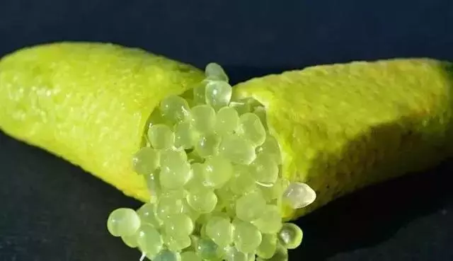 全球最罕見的水果,你吃過幾種?
