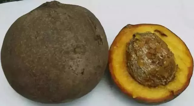 全球最罕見的水果,你吃過幾種?