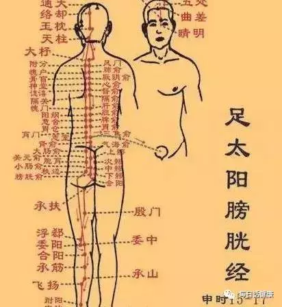 十四經絡終於弄明白了!此文不收藏太可惜了!