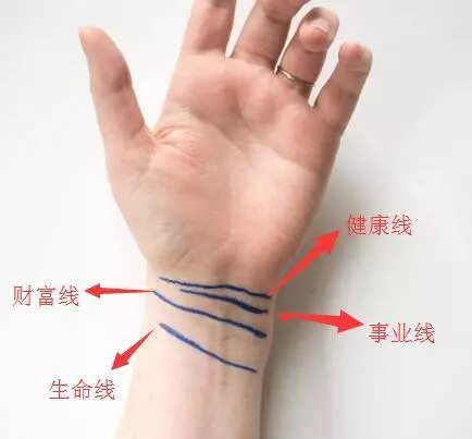 想知道自己的富貴,事業,健康,生命!就看你的手腕上,神准!