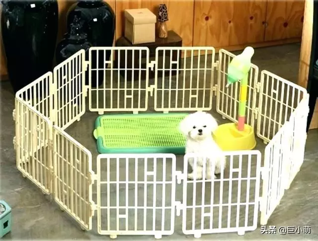 家中養狗想更安全,必須把它"關"住,專業訓犬師教你這麼做