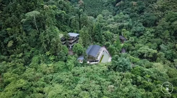 清大教授砸330萬「買下山谷」,同妻子復育收藏「3萬種瀕危植物」!李佳維:想為世界留下珍貴寶藏
