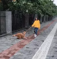 爆笑GIF圖:姑娘這帥氣的步伐,真是魔性十足呀!