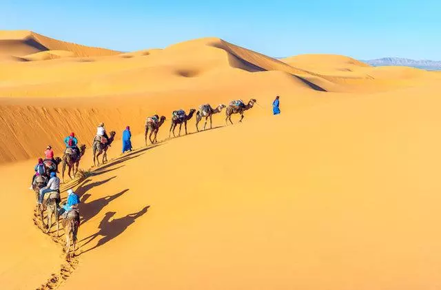 你所不知道的撒哈拉:地球上最大的熱荒漠背後的秘密
