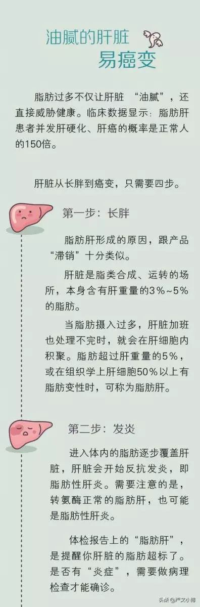 你的肝臟減肥了麼,長胖的肝臟更容易癌變