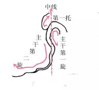 盆景初入門:三種懸崖式盆景造型圖解