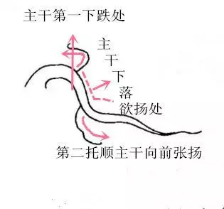 盆景初入門:三種懸崖式盆景造型圖解