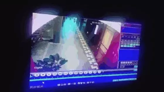 新加坡情侶海產女外棄嬰後續...血跡DNA吻合 !