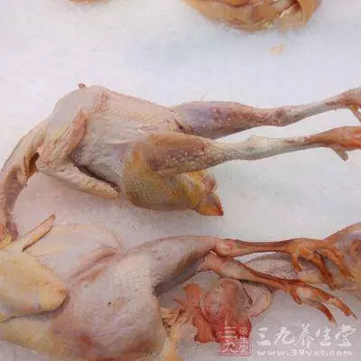 超毒!吃「雞」這3個部位,如同吃砒霜!!有人卻天天吃… !