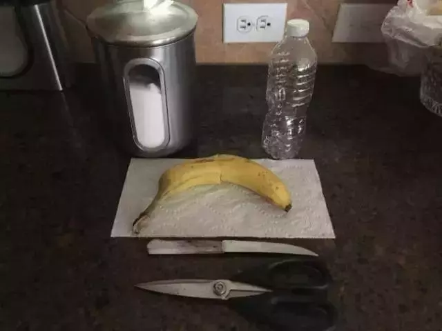 教你一個妙招,家裡蒼蠅、蚊子、小飛蟲來一隻滅一隻,再也不煩惱