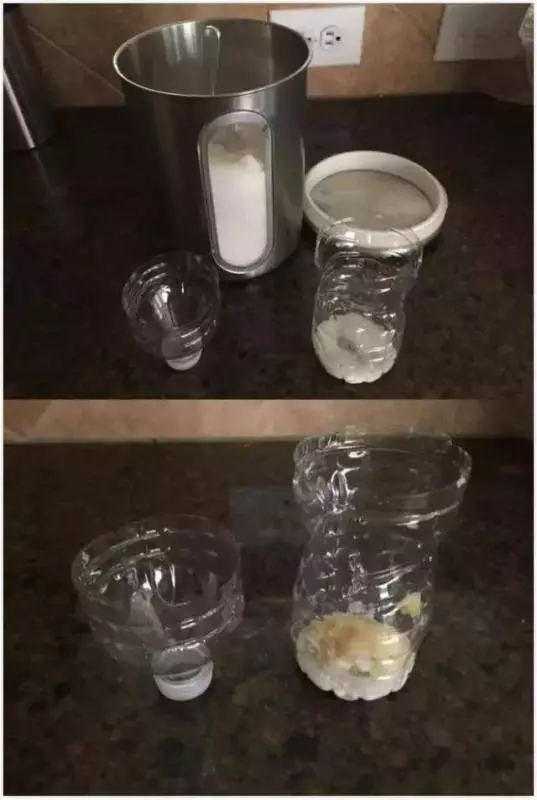 教你一個妙招,家裡蒼蠅、蚊子、小飛蟲來一隻滅一隻,再也不煩惱