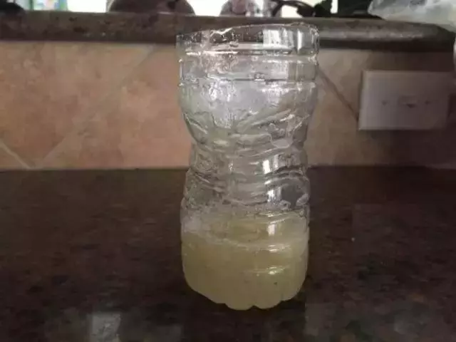 教你一個妙招,家裡蒼蠅、蚊子、小飛蟲來一隻滅一隻,再也不煩惱