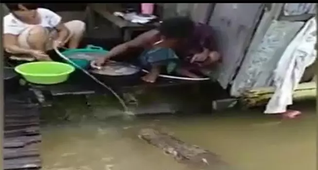 婦女餵食「友善」的15英尺長鱷魚並與其玩耍?