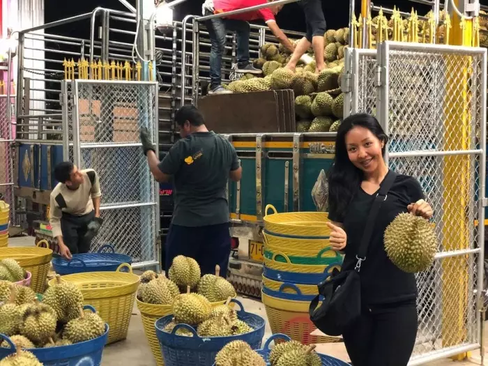 榴槤富商招女婿!豪送10車1屋百萬令吉!網友:岳父,我在這裡!