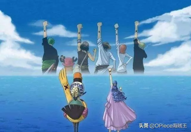 成就新世界「新五皇」的關鍵因素,夥伴精神是海賊王的核心!