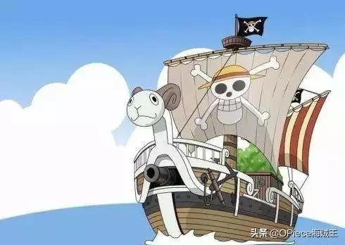 成就新世界「新五皇」的關鍵因素,夥伴精神是海賊王的核心!