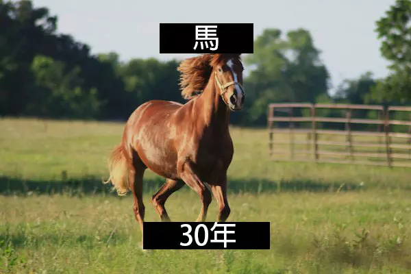 24個「自然界最殘酷的動物壽命」標準 水母絕對是人生贏家!