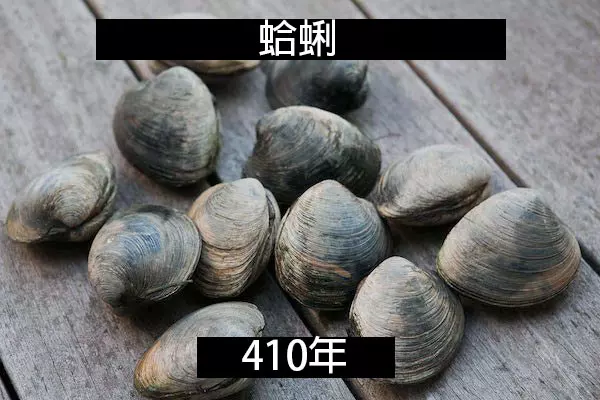 24個「自然界最殘酷的動物壽命」標準 水母絕對是人生贏家!