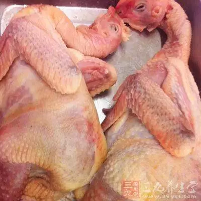 超毒!吃「雞」這3個部位,如同吃砒霜!!有人卻天天吃… !