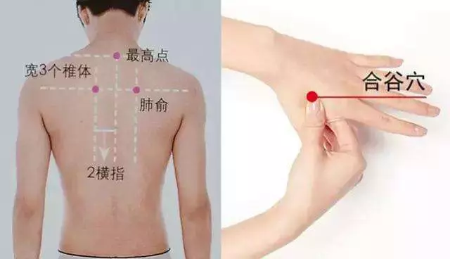 穴位按摩祛病大全集,身體出什麼問題按什麼穴,一篇全搞定!