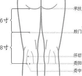 穴位按摩祛病大全集,身體出什麼問題按什麼穴,一篇全搞定!