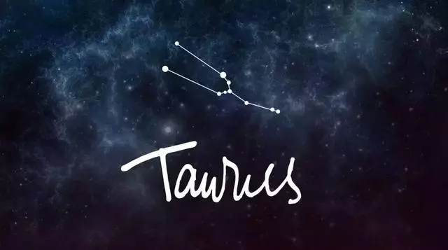 十二星座的最佳寵物