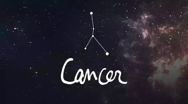 十二星座的最佳寵物