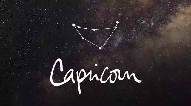 十二星座的最佳寵物