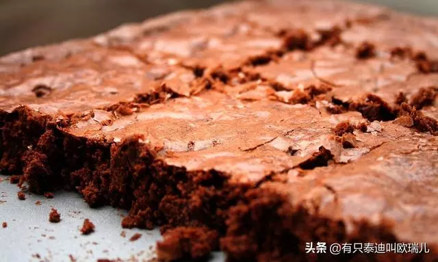 致命的甜蜜!狗狗偷吃主人的甜點,險些丟了「狗命」