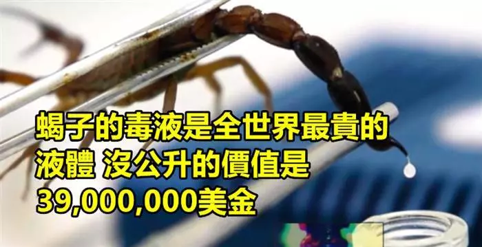 10個會讓你驚訝到捂住嘴巴的冷知識!