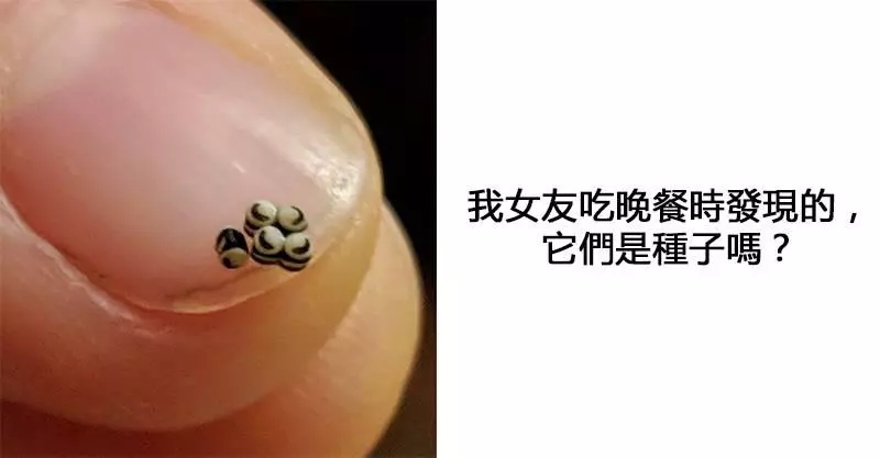 13個人們不知道是什麼來的「怪東西」　但網友早就已經知道答案了