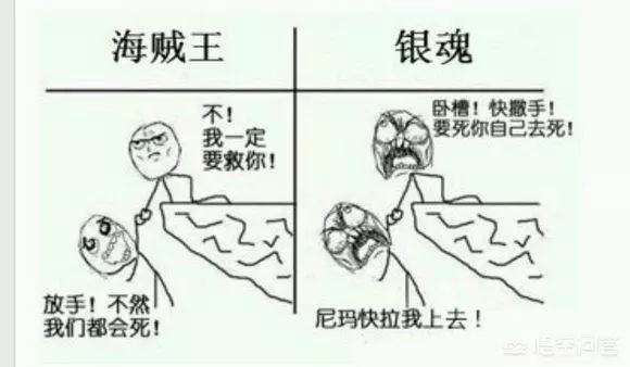 看了這麼久的《海賊王》與《銀魂》兩部到底有什麼差異?網友從頭笑到尾