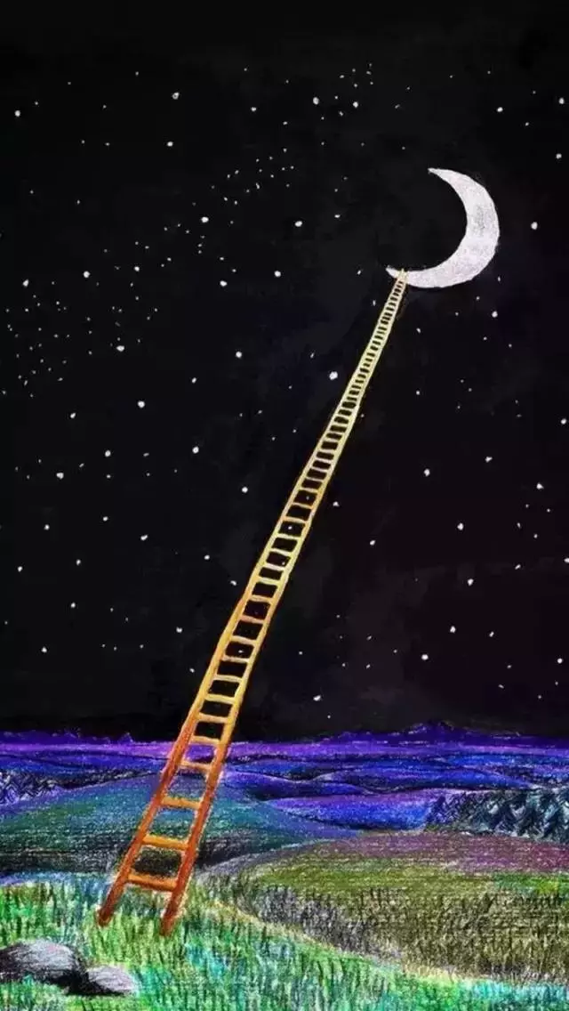 最愛護短的三個星座是哪個呢