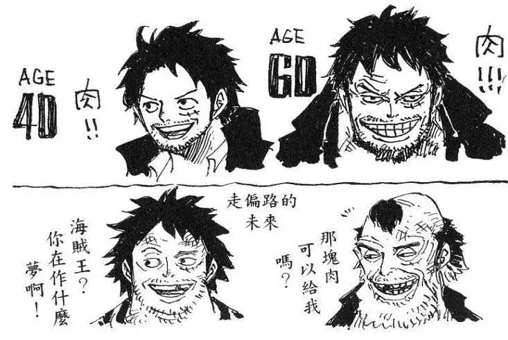 《海賊王》各人物老年形象曝光,60歲的娜美比大媽還丑!