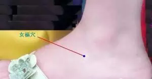通治一切婦科病的人體大藥