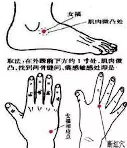 通治一切婦科病的人體大藥