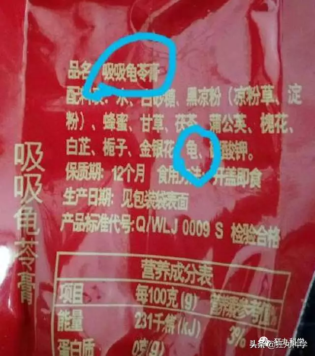 原來每一碗龜苓膏里,都有一隻沒了書包的烏龜在流淚