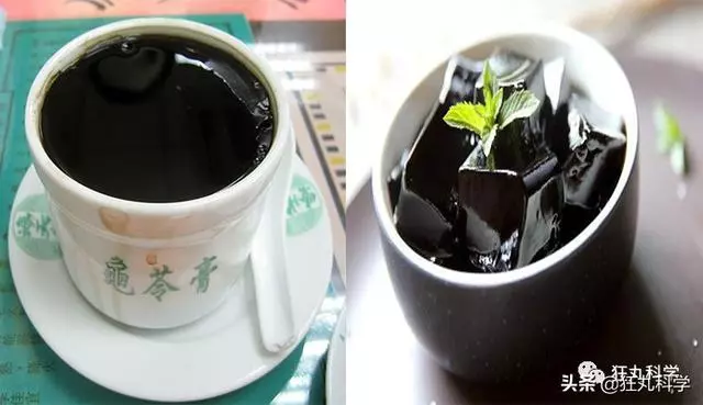 原來每一碗龜苓膏里,都有一隻沒了書包的烏龜在流淚