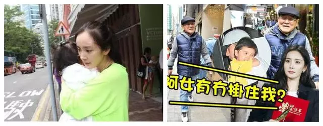 楊冪一周二次抵港極不尋常,知情人曝欲爭小糯米撫養權?