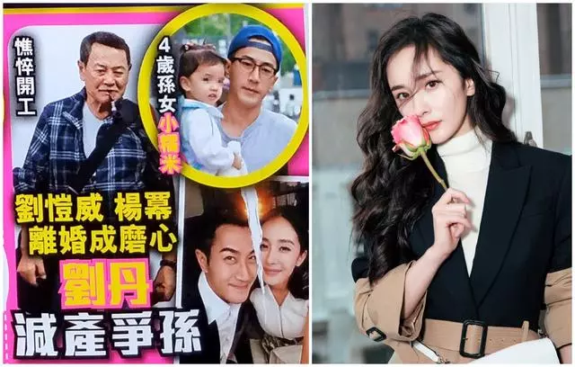 楊冪一周二次抵港極不尋常,知情人曝欲爭小糯米撫養權?