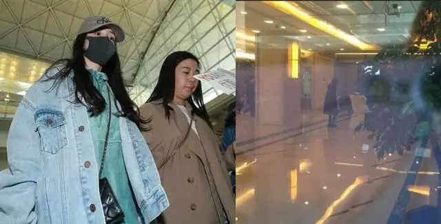 楊冪一周二次抵港極不尋常,知情人曝欲爭小糯米撫養權?