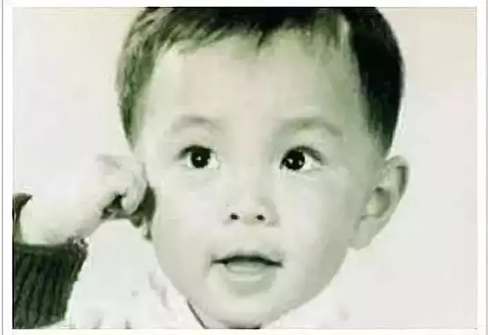 顏值逆天,卻慘遭封殺,53歲膝下無子,經歷人生七大難,如今再度翻紅回首道:「平平淡淡就已經足夠」