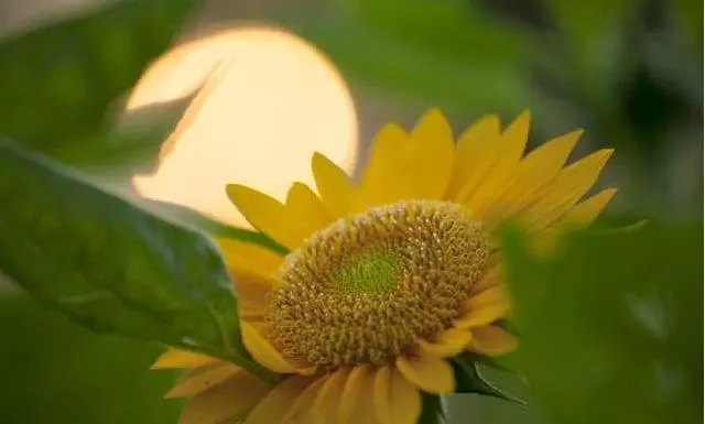 我回娘家幾天,婆婆竟然這樣對待我,當時我就和老公提出了離婚