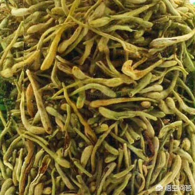 金銀花、菊花、陳皮、大麥和冰糖一起泡水喝,有什麼作用?